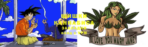 ПСИЛОЦИБИНОВЫЕ ГРИБЫ Белокуриха