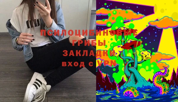 ECSTASY Нея