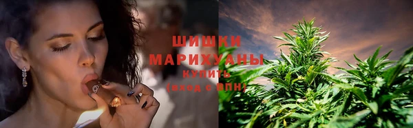 ПСИЛОЦИБИНОВЫЕ ГРИБЫ Белокуриха