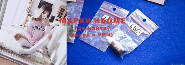 ПСИЛОЦИБИНОВЫЕ ГРИБЫ Белокуриха