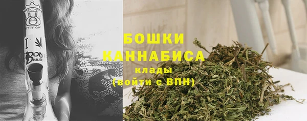 ПСИЛОЦИБИНОВЫЕ ГРИБЫ Белокуриха