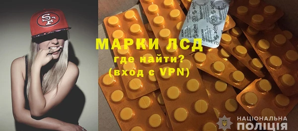 ПСИЛОЦИБИНОВЫЕ ГРИБЫ Белокуриха