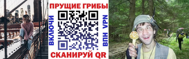закладка  Новотитаровская  ссылка на мегу маркетплейс  Псилоцибиновые грибы прущие грибы 